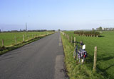 RIMG06519