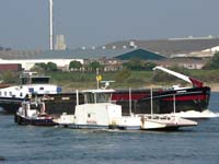 Endlich lernt sie mal
richtige Strömung kennen.